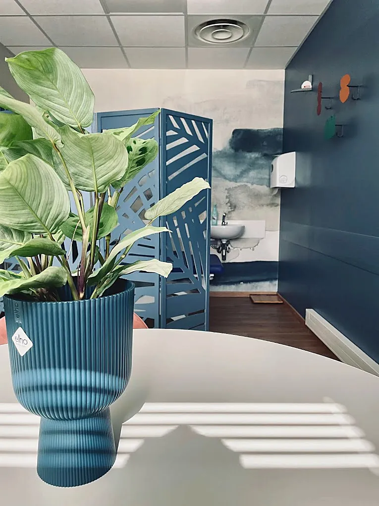 Plante et décoration chaleureuse dans les locaux du Centre VIMA